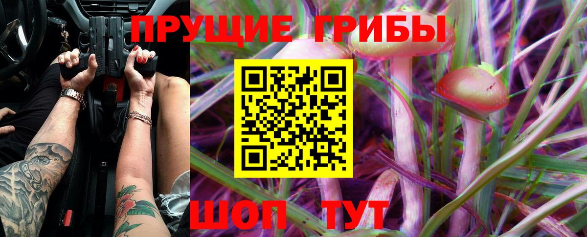 Туймазы  Псилоцибиновые грибы GOLDEN TEACHER  Вход с VPN  Псилоцибиновые грибы прущие грибы 